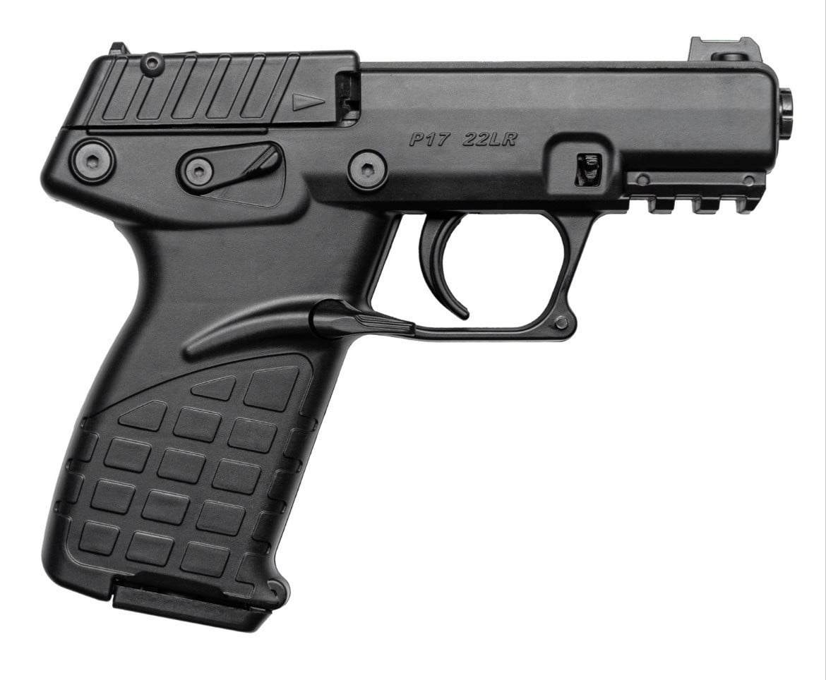 Docs gun -- Keltec P17 22LR pistol